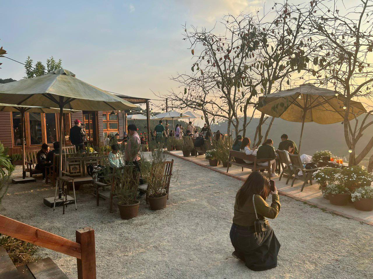 Bán lô đất nông nghiệp view đẹp Phường 11 Đà Lạt đang kinh doanh cà phê