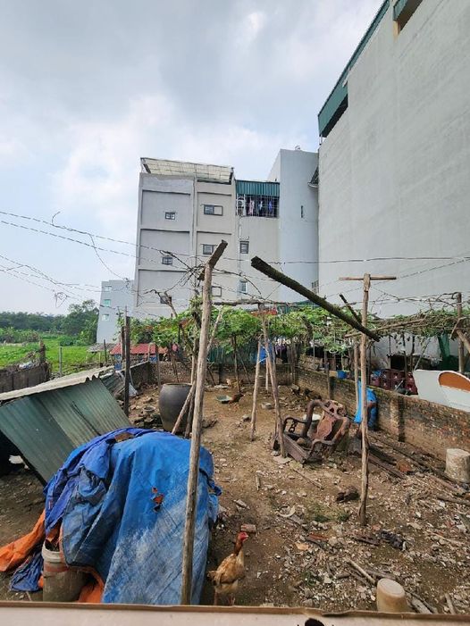 Bán đất Thanh Lân, Nan Dư 72m mt7m chỉ 4 tỷ hơn