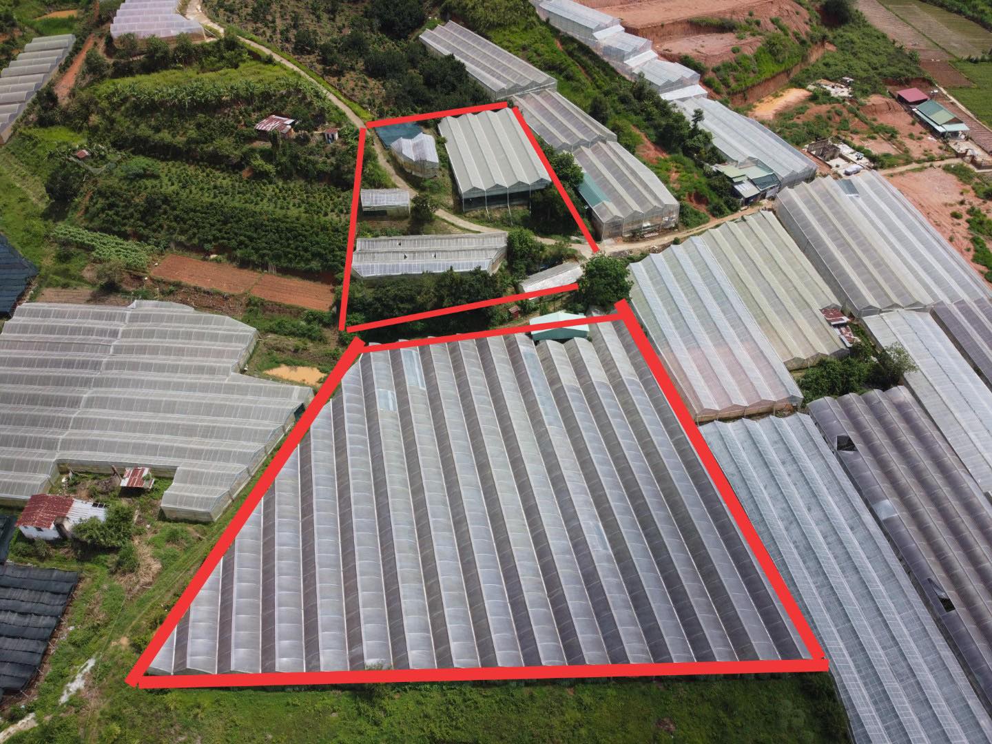 Bán đất Mimosa Phường 10 Đà Lạt 9000m2 chỉ 4,5tr/m2