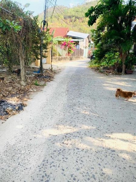 Xã Lỗ, Lô đất Vĩnh Phương giảm giá bán nhanh chỉ còn 680 triệu cho 100m².