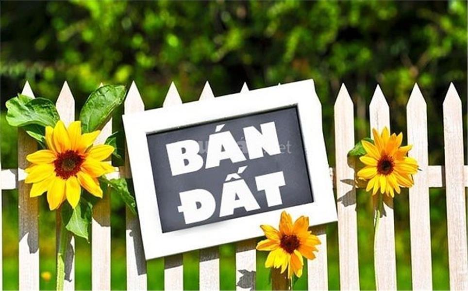 Bán Đất Thổ Cư 13095m2. trước mặt. Huyện Củ Chi. giá chỉ Giảm Sâu