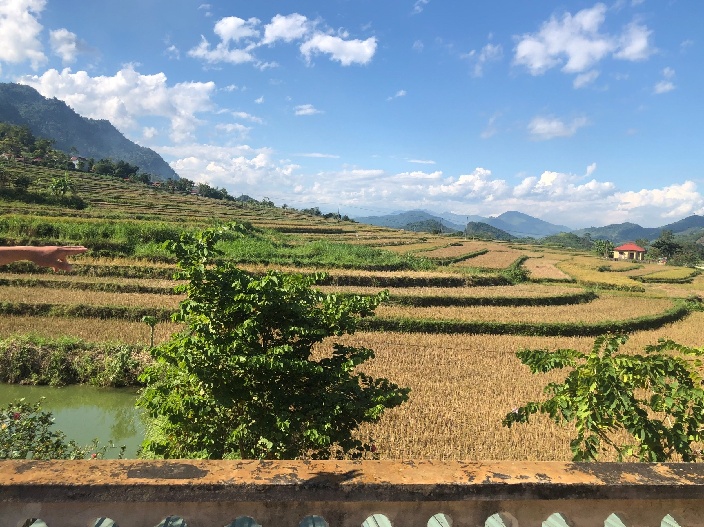 Bán Nhà Vườn Diện Tích 36.766 Vị Trí Đẹp Tại Hua Păng - Mộc Châu-Sơn La