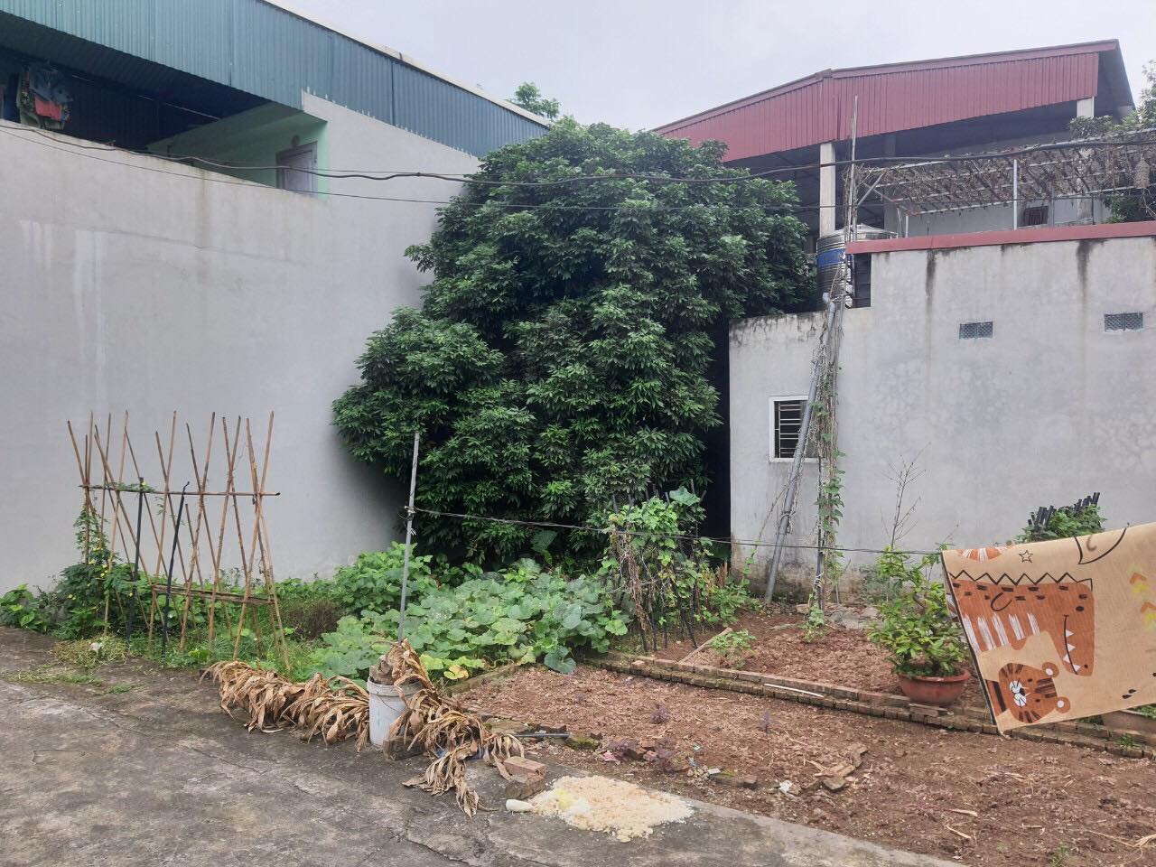 Bán nhanh 54m2 đất Dương Xá, Gia Lâm ngay chợ Sủi