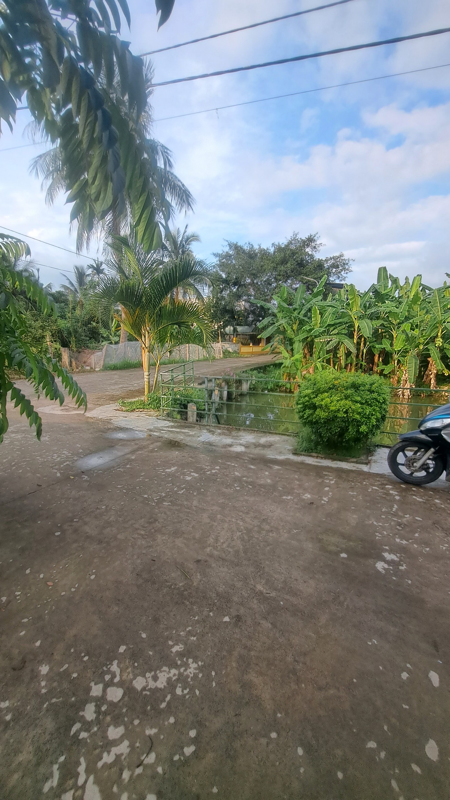 Chính Chủ Bán Lô Đất Xã Tân Liên, Vĩnh Bảo, Hải Phòng, 1.2 Tỷ, 164m2