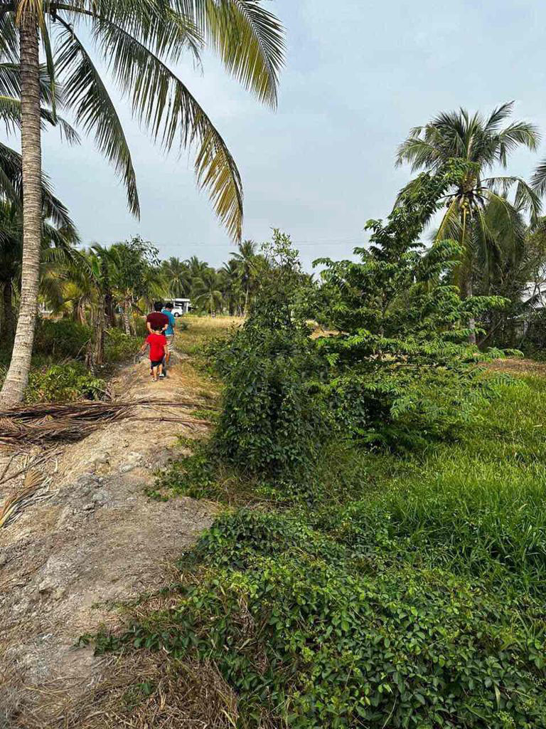 Chính Chủ Bán 1.100m2 Đất Sổ Hồng Riêng Mặt Tiền QL60-Nhị Long