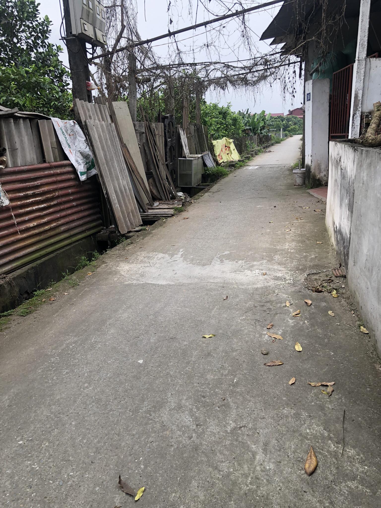 Lô góc 80m2 Đặng Xá Gia Lâm đường oto thông