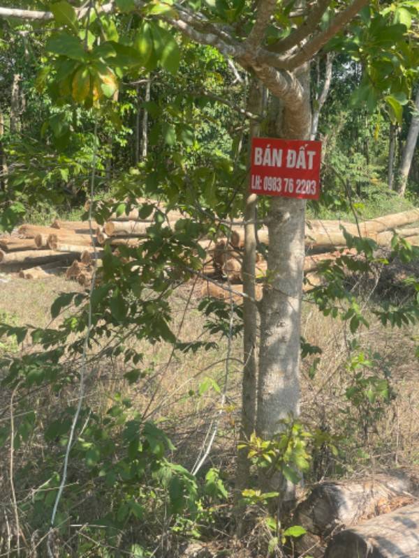 Đất Thổ Cư 127,8 M2,Đường nhựa 8m, An Viễn, Trảng Bom,Đồng Nai.990 tr