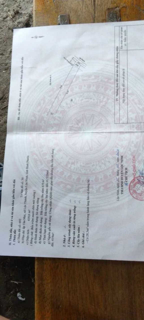 Cần bán gấp lô đất ở ấp Tân Mai, Lộc Thành, Lộc Ninh, Bình Phước.