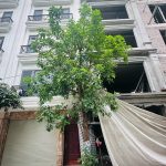  50m2 - 5