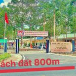  321m2 - 5