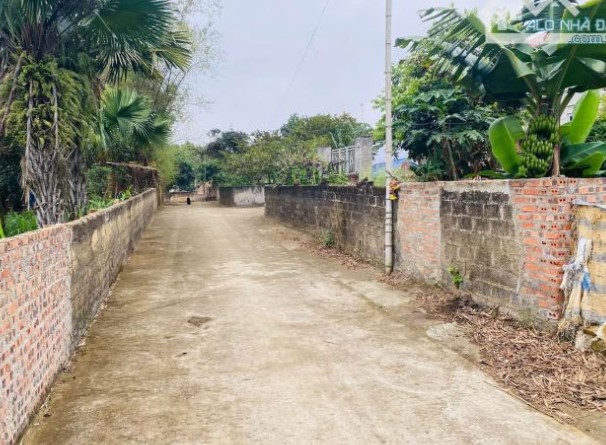 Bán 1000m đất Phú xuyên gần KCN Đồng Văn Hà Nam giá nhỉnh 7 tỷ