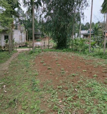 Bán 1000m đất Phú xuyên gần KCN Đồng Văn Hà Nam giá nhỉnh 7 tỷ