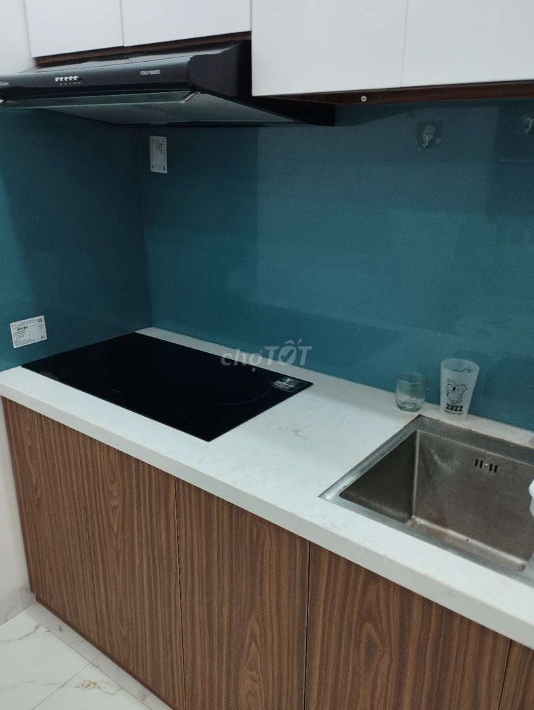 Cho thuê căn hộ chung cư mini ngõ 189 Hoàng Hoa Thám, Liễu Giai