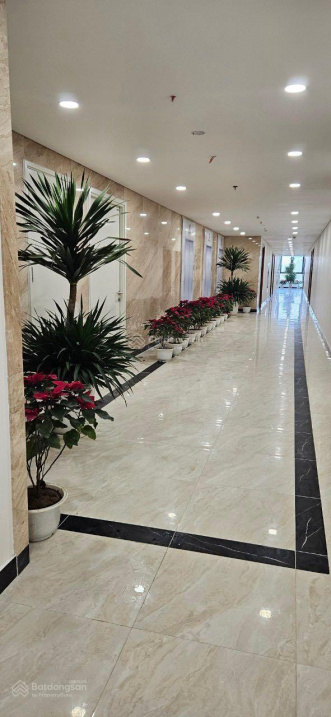 10 suất ưu đãi căn hộ cao cấp 54m2 trực tiếp CĐT Trust City giá hơn 1,7tỷ