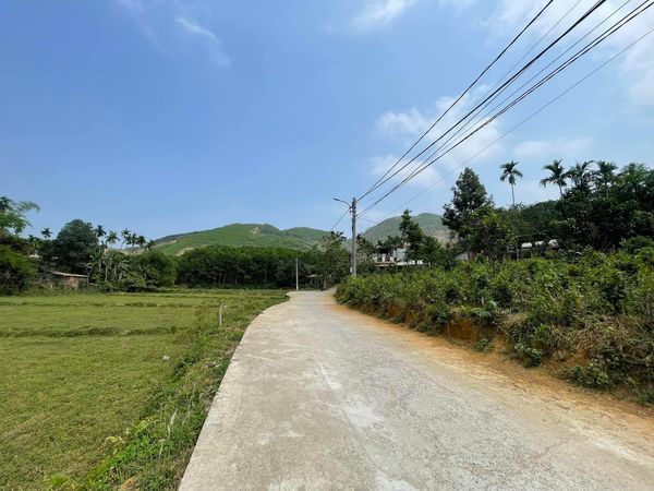 Bán Đất nhà vườn sau lưng UBND HOÀ NINH