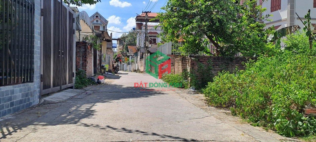 Bán đất Xuân Nộn - 55.7m2 - Đường 4.5m - Ngay gần KCN Đông Anh