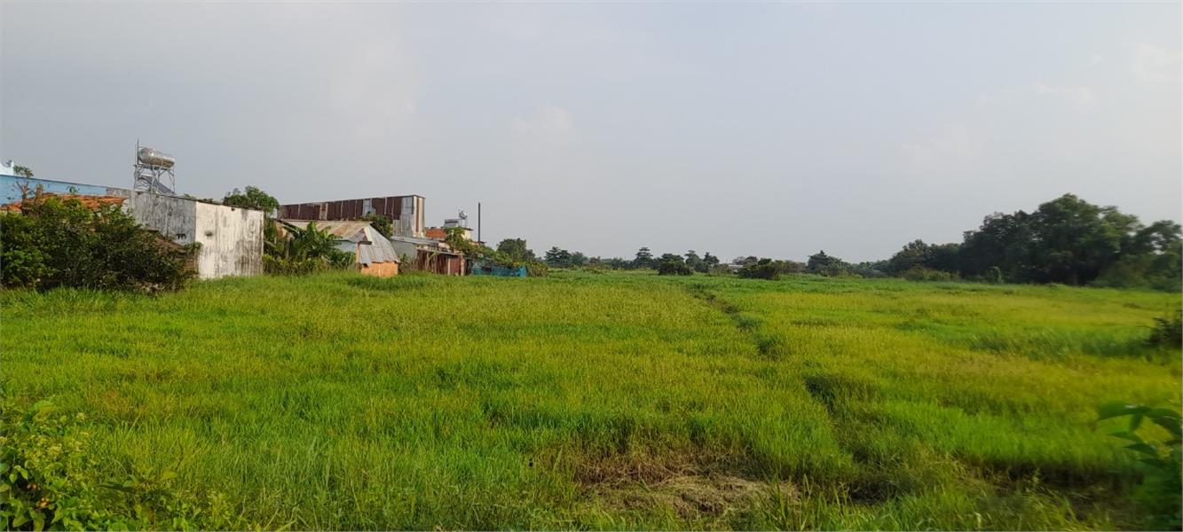 Đất Đẹp 2 Mặt Tiền Mặt Bằng Kinh Doanh Lớn Hơn 1.500m2 Full Thổ Lê Thị Hà Hóc Môn