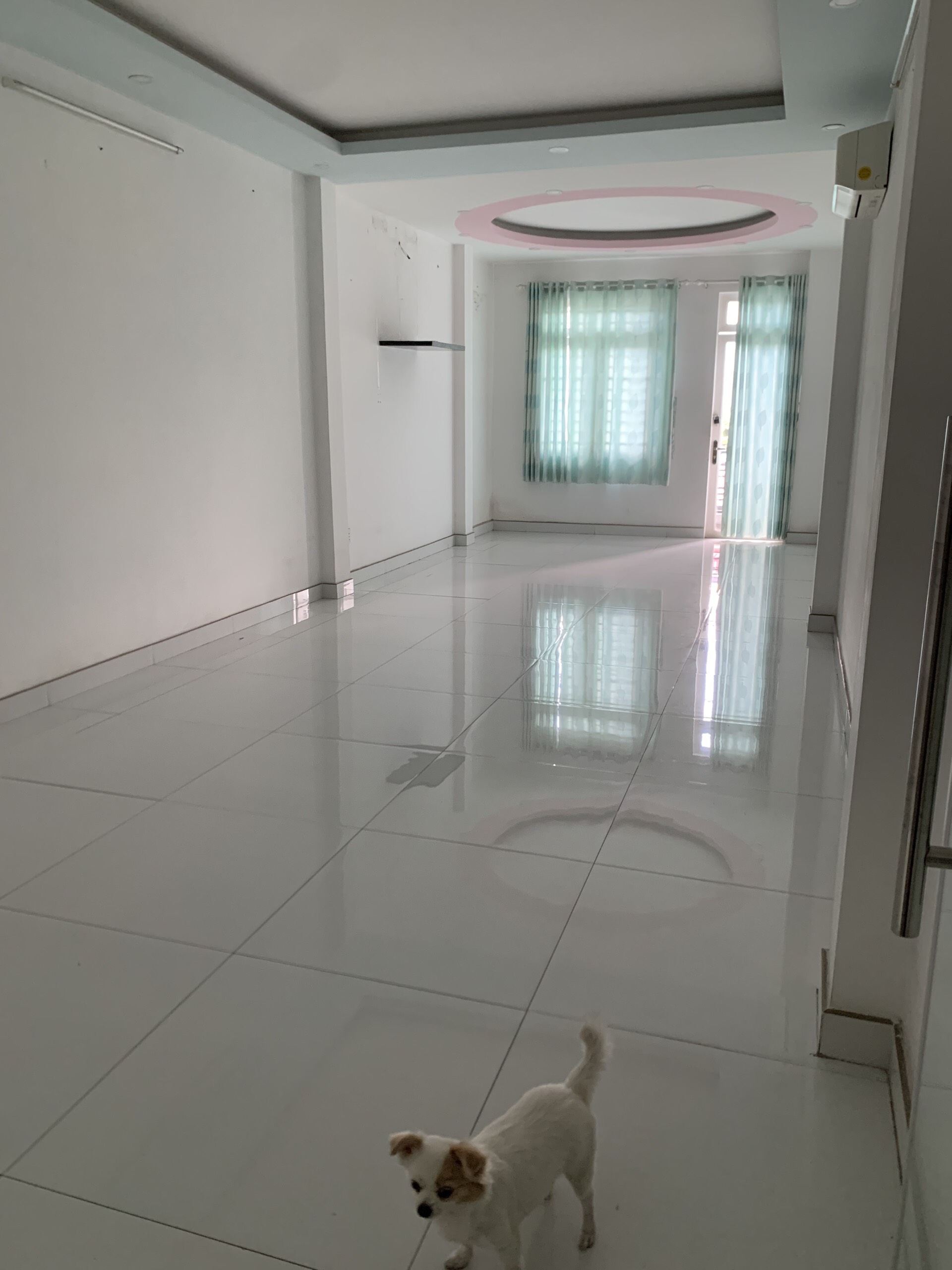 NHÀ 4 TẦNG MT LÝ THƯỜNG KIỆT - GẦN CHỢ TÂN BÌNH - 6 PHÒNG LỚN