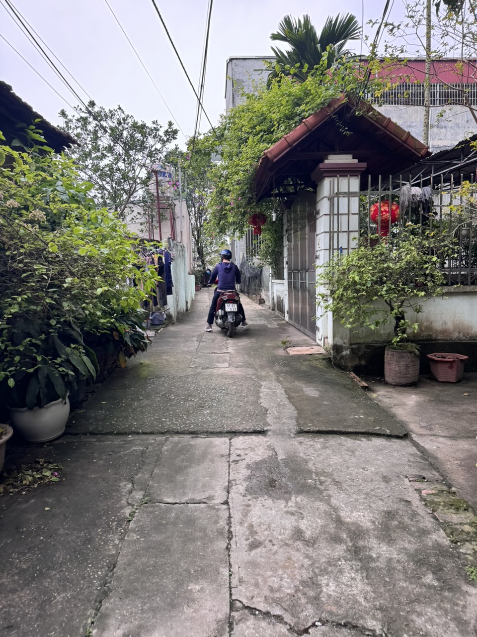 Bán 82m Kiêu Kỵ Gia Lâm, đường oto 4 chỗ, giá siêu rẻ 30tr/m bao phí,