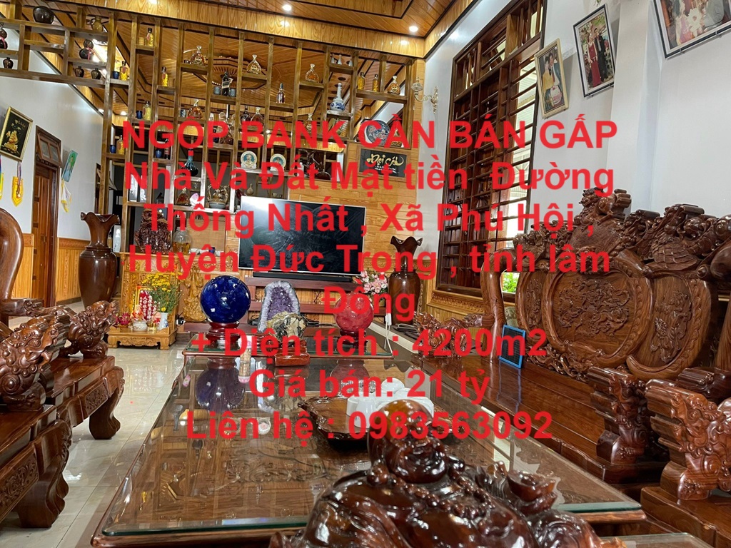 NGỘP BANK CẦN BÁN GẤP Nhà Và Đất Mặt Tiền Đường Thống nhất