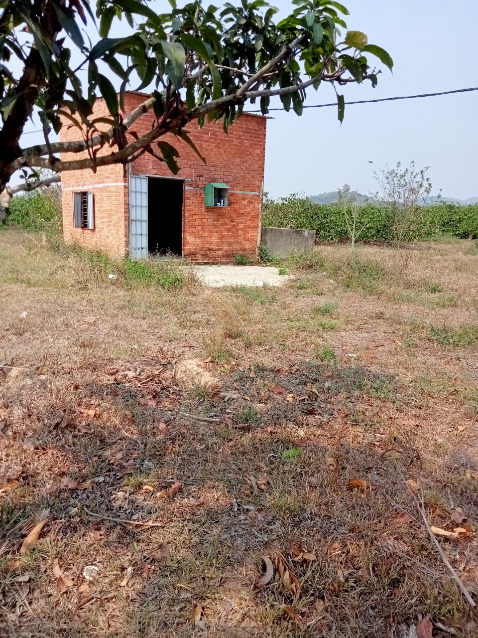 NÓNG !!! CHÍNH CHỦ CẦN BÁN LÔ ĐẤT RẪY TẠI KRÔNG PẮK . ĐẮK LẮK