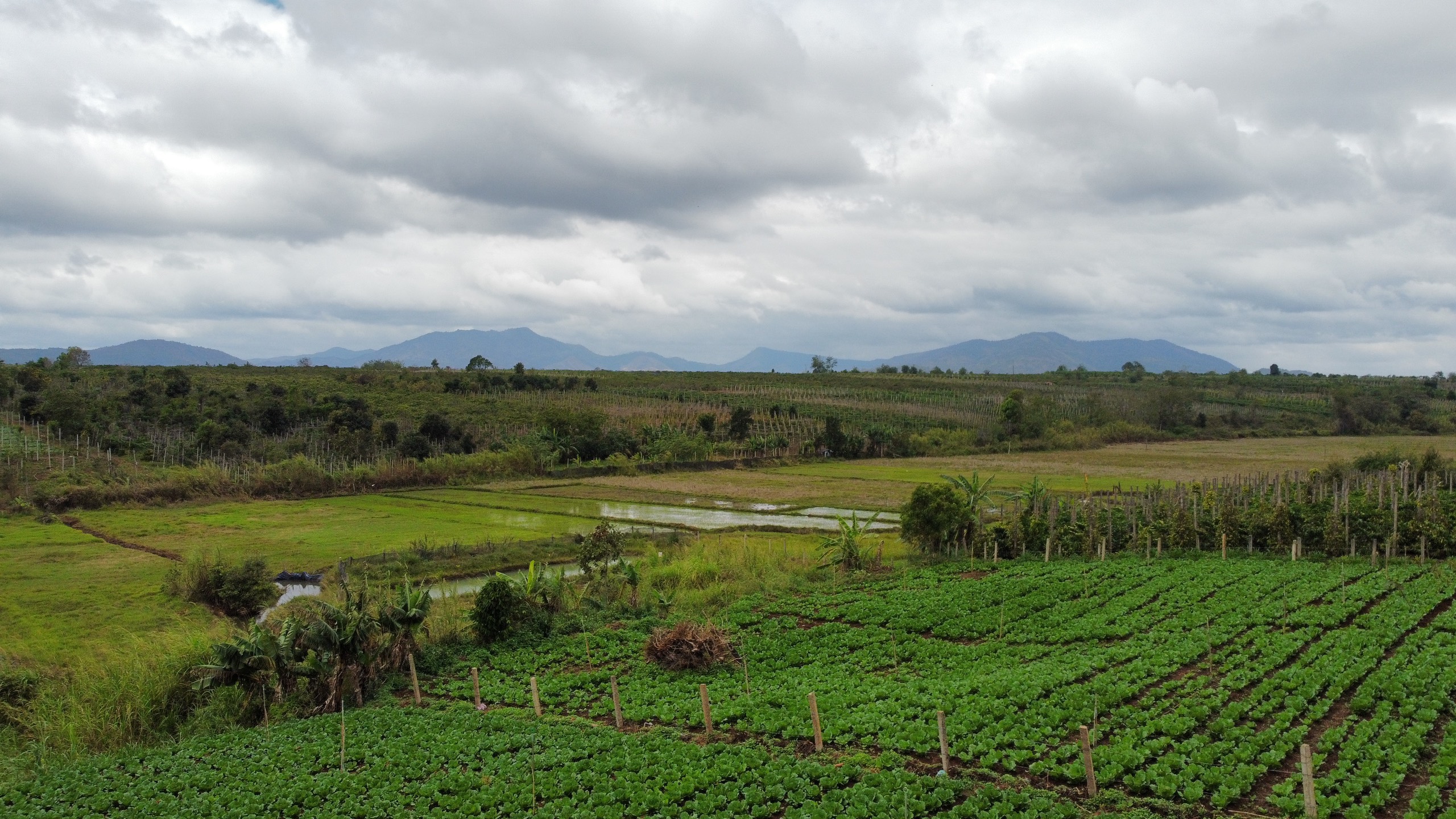 390 TRIỆU LÔ ĐẤT NGHỈ DƯỠNG CẠNH SÂN BAY PLEIKU