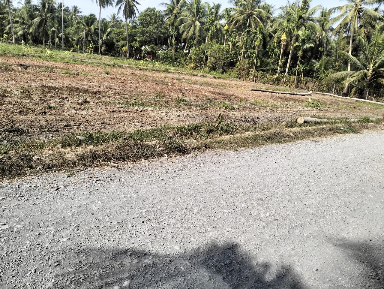 Chính Chủ Cần Bán Lô Đất Đẹp Tại Ấp Phú Quý, Xã Vĩnh Hựu, Huyện Gò Công Tây, Tiền Giang