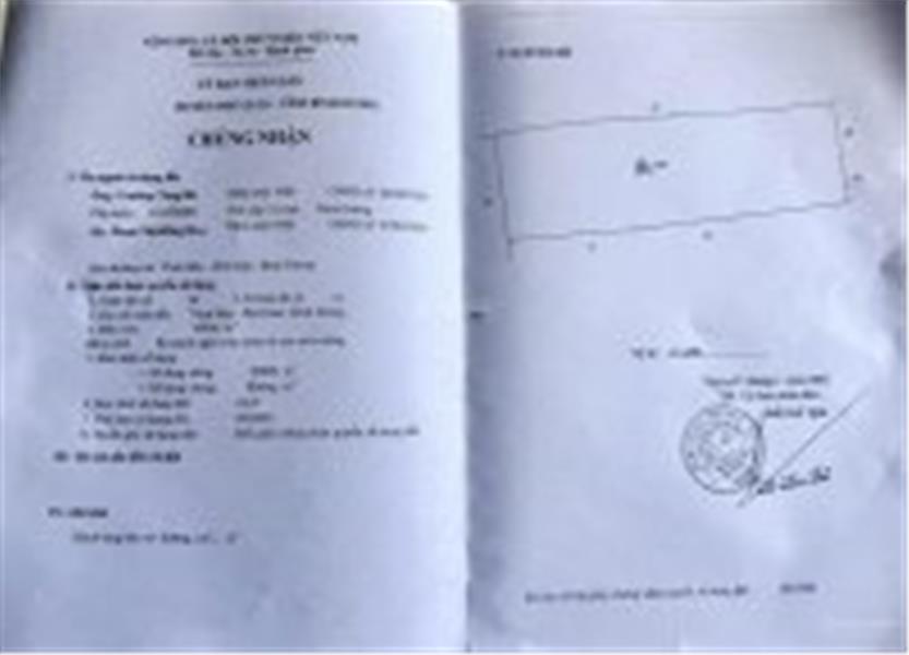 CHÍNH CHỦ Cần Bán 4.2 mẫu đất cao su 5 năm tại Phú Giáo, Bình Dương