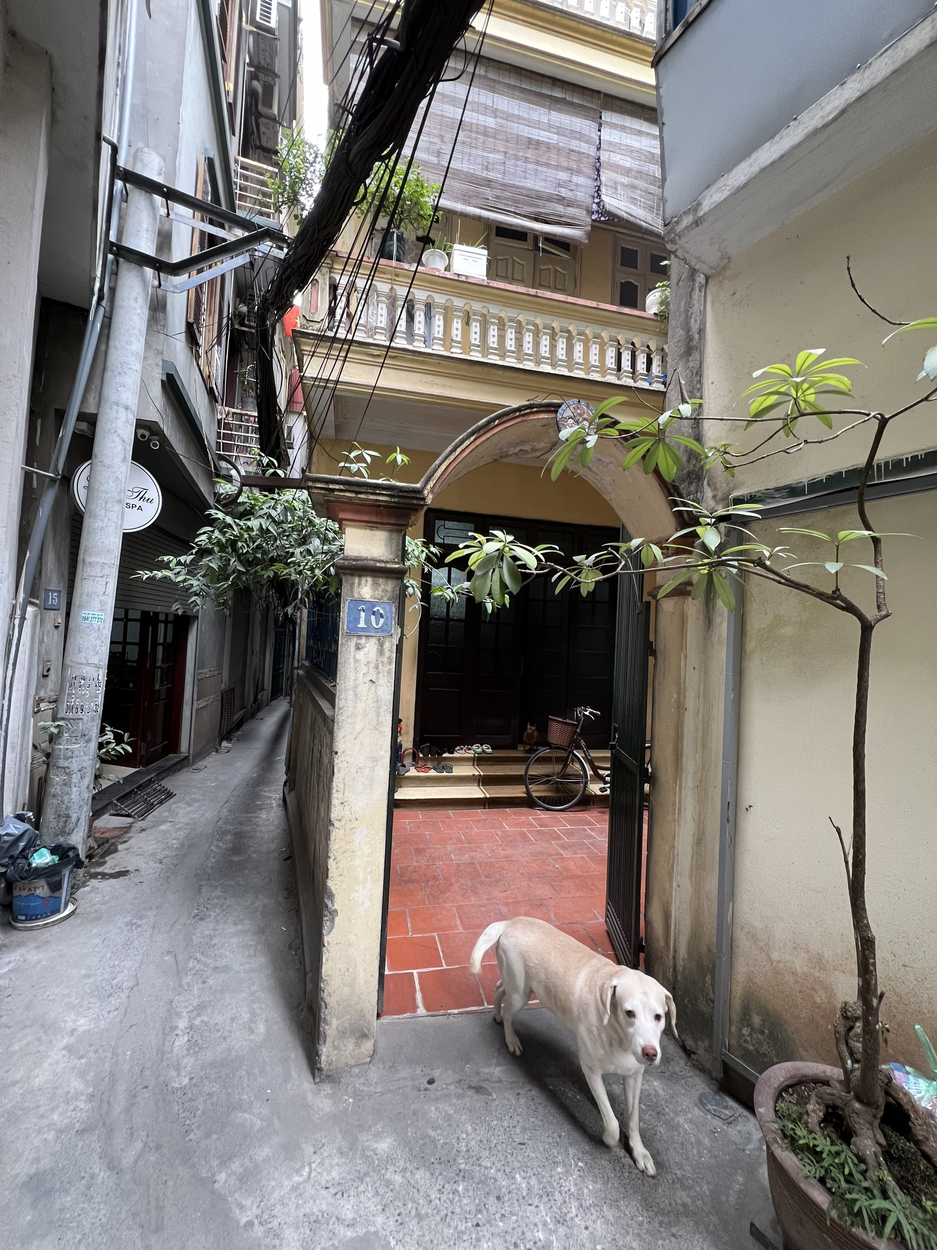 Chính Chủ Cần Bán Lô Đất Kim Mã, Ba Đình, Hà Nội