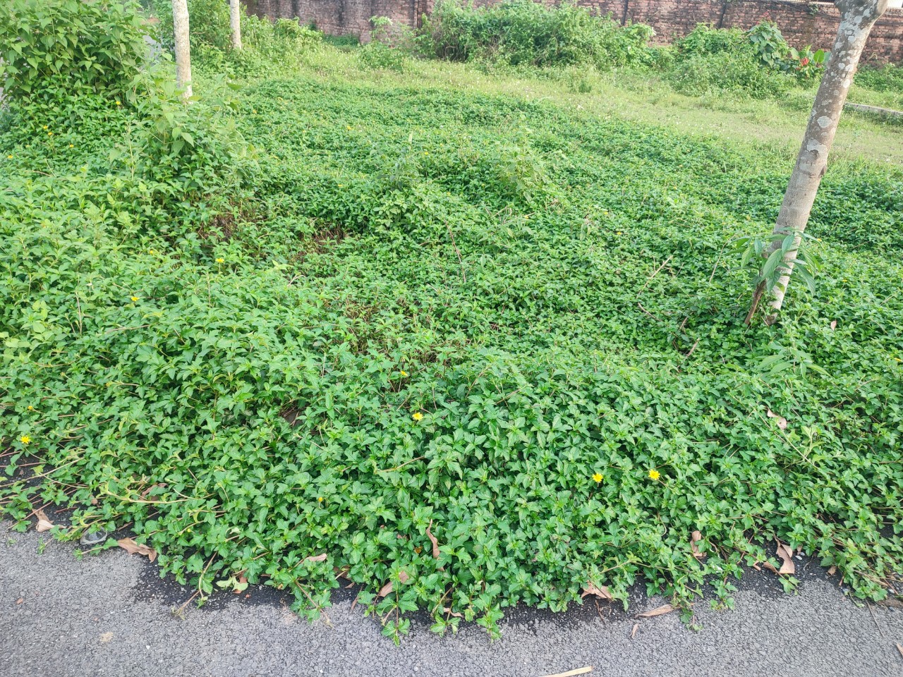 Bán mảnh đất đẹp giá rẻ Đức Thượng ôtô vào nhà 47m 2.65 tỷ