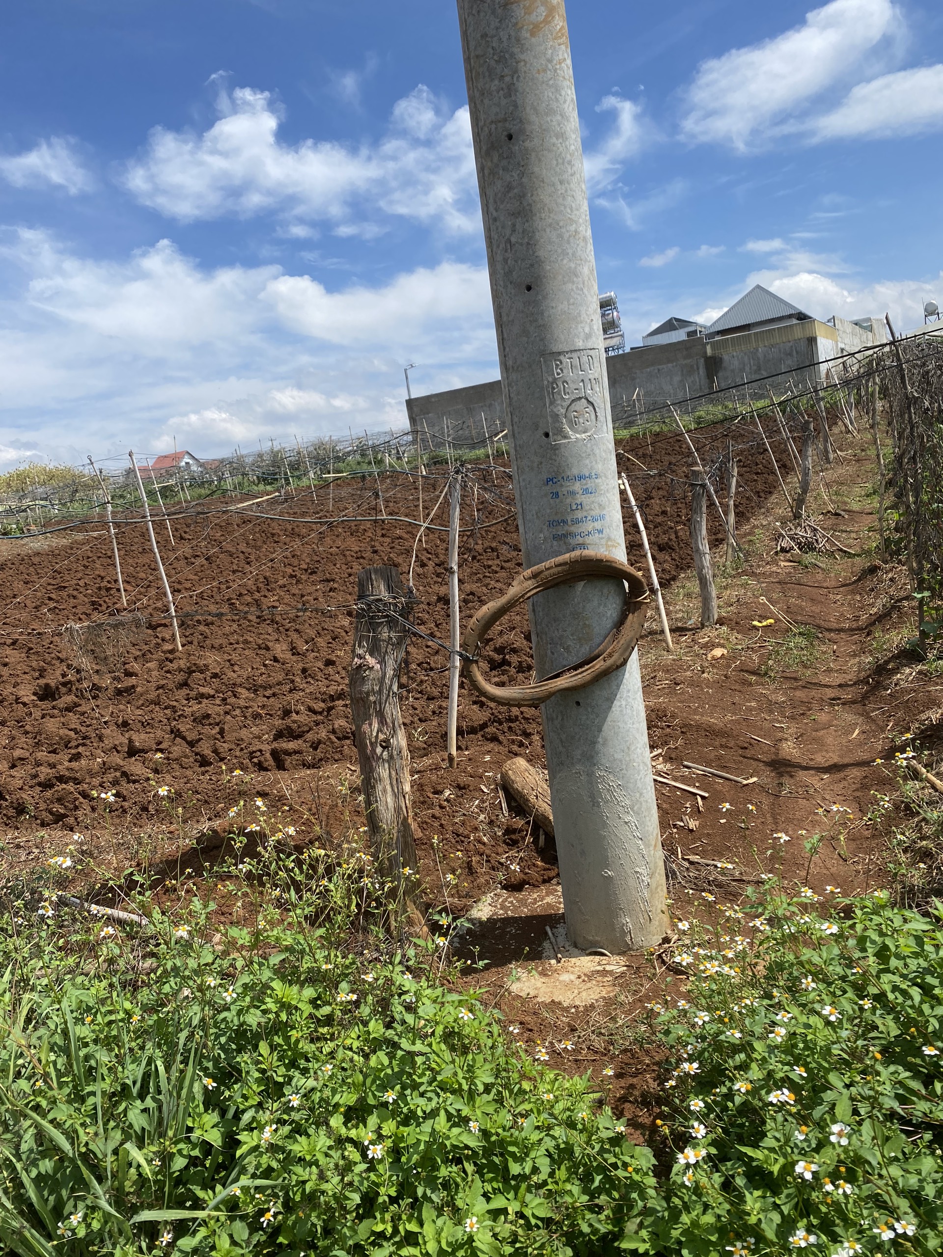 CHÍNH CHỦ CẦN BÁN LÔ ĐẤT ĐỨC TRỌNG - LÂM ĐỒNG