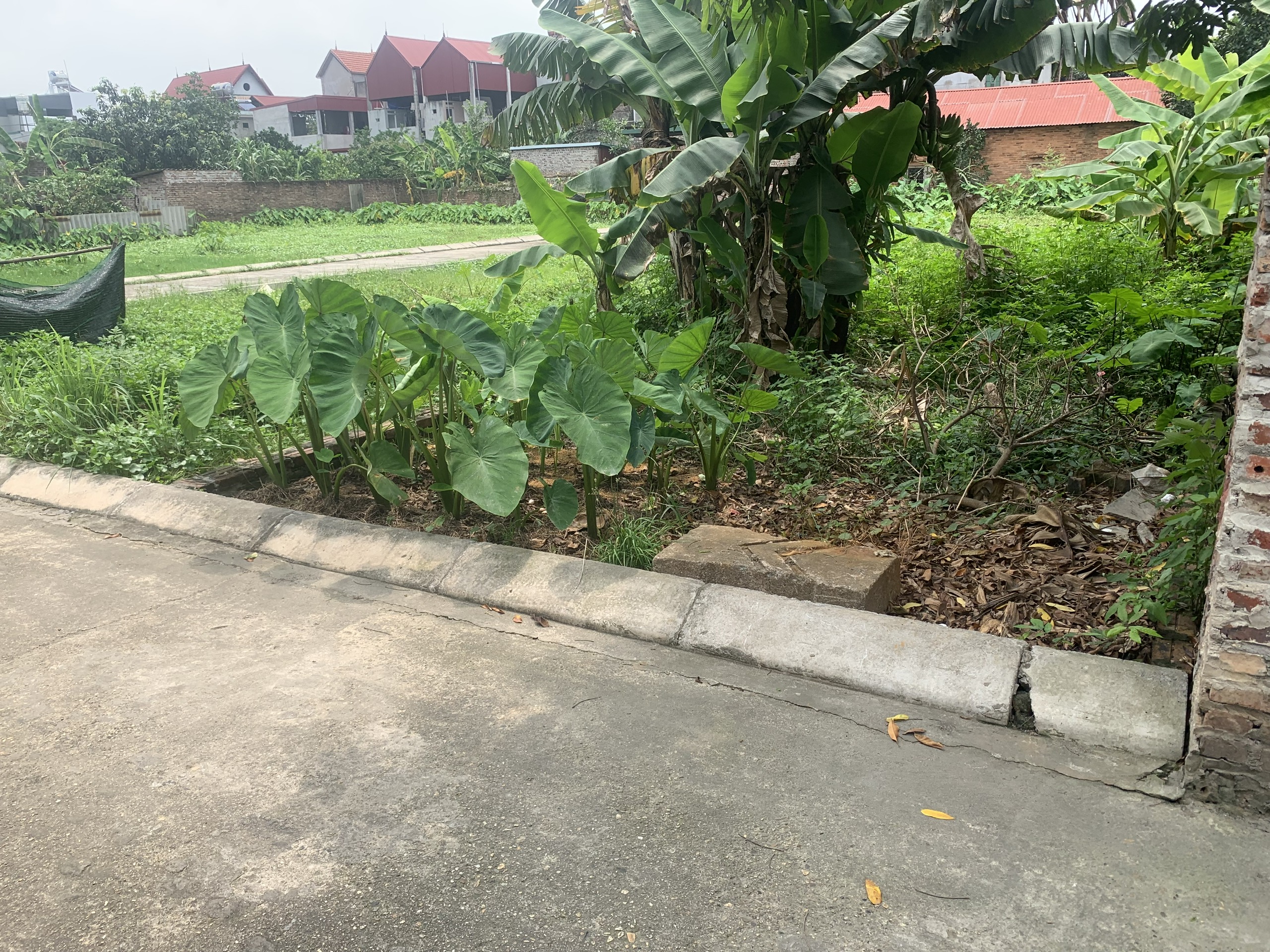 Đẹp ngày em mở bán 3 lô phân lô Bắc Thượng, Quang Tiến, Sóc Sơn, Hà Nội