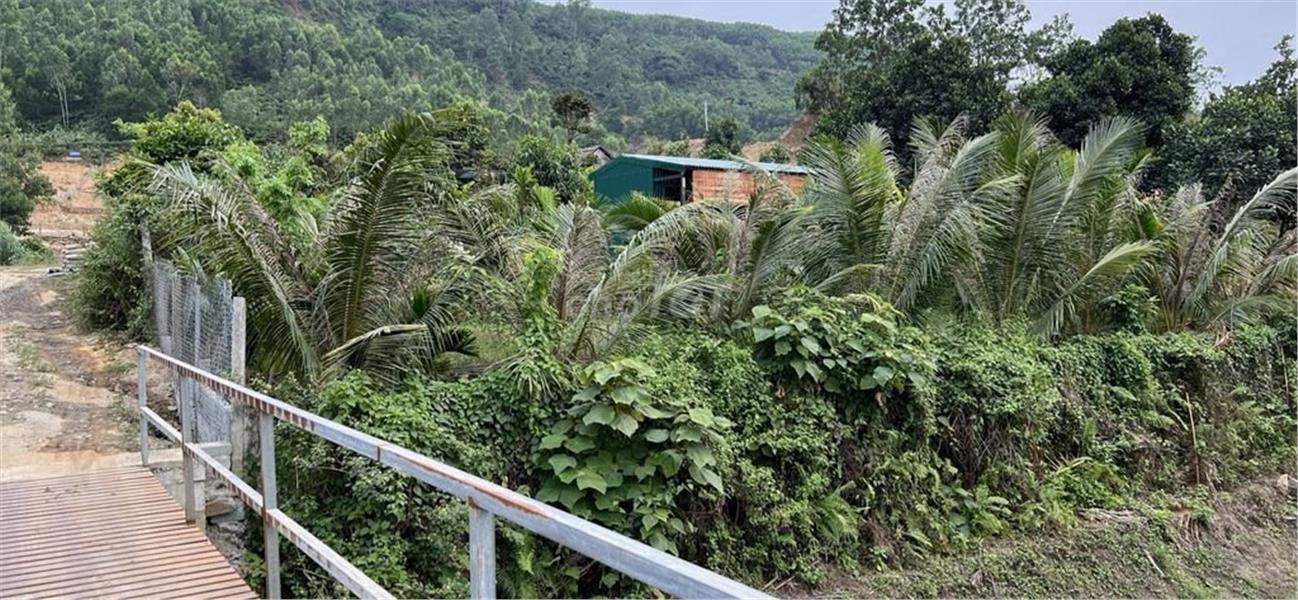 CHÍNH CHỦ Bán Đất Vườn Cây Ăn Quả thôn Đại La - Đại La 6, Hòa Sơn, Hòa Vang, Đà Nẵng