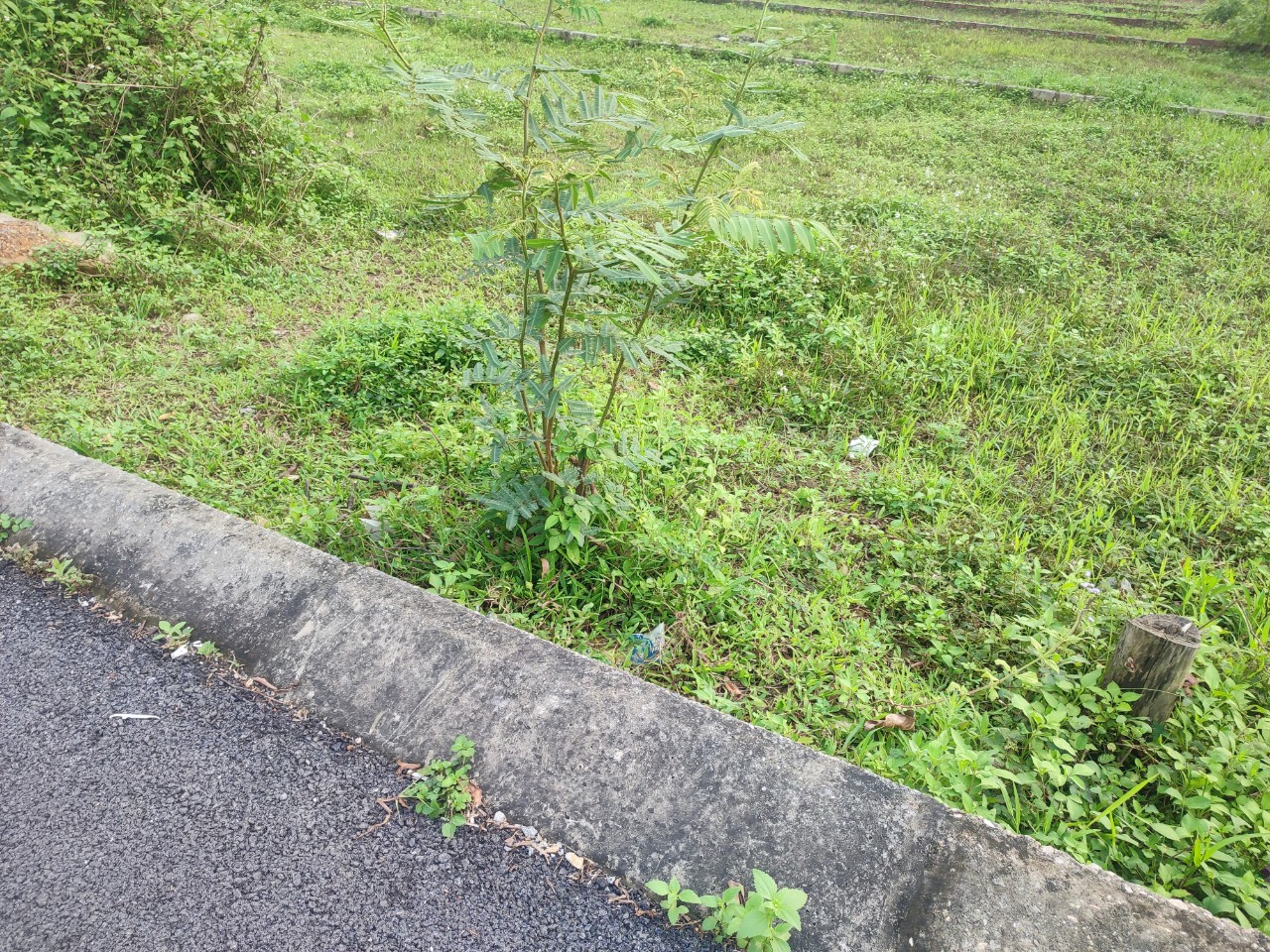 Đang xoay tiền bán mảnh đất lô góc 62m giá rẻ 1.9 tỷ hàng xóm ĐH FPT Hòa Lạc