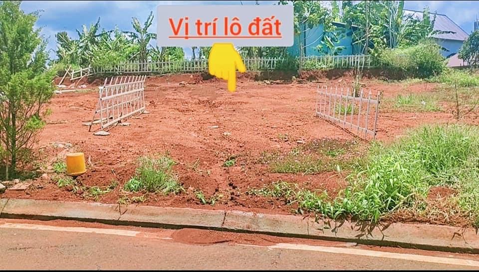 CHÍNH CHỦ CẦN BÁN ĐẤT BẢO LÂM - LÂM ĐỒNG