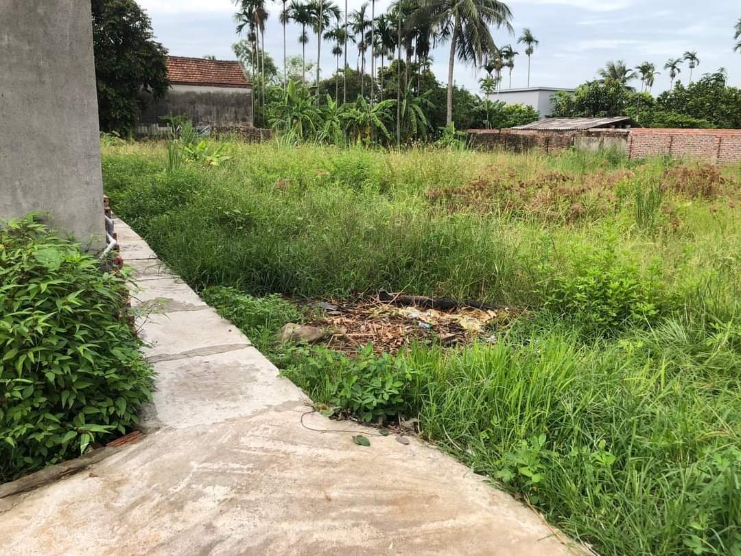 * HÓT * CHÍNH CHỦ CẦN RA LÔ ĐẤT TẠI TIÊN THANH, TIÊN LÃNG, TP HẢI PHÒNG.