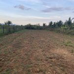  1000m2 - 5