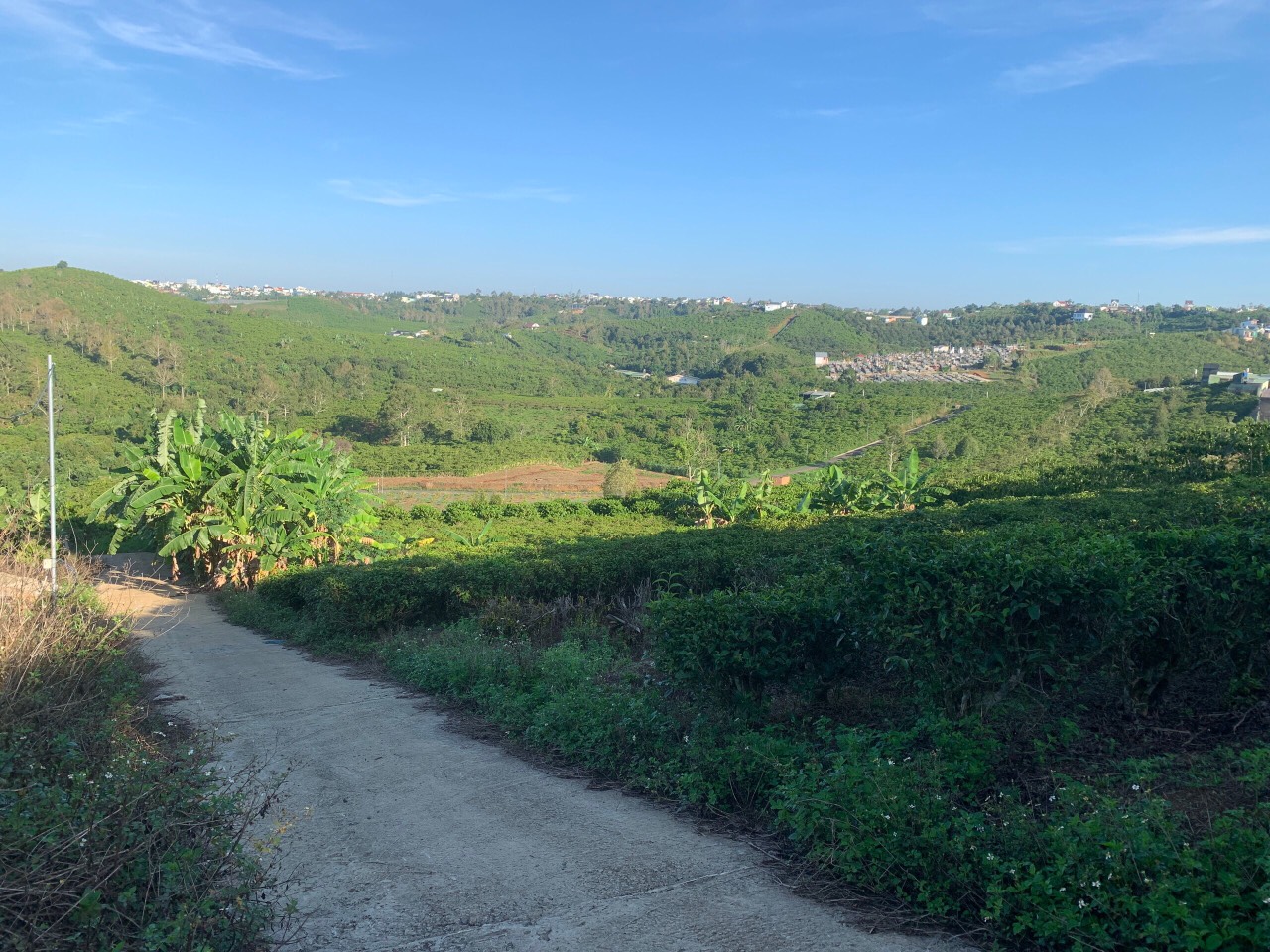 CHÍNH CHỦ CẦN BÁN GẦN 2 SÀO ĐẤT XÃ LỘC THANH - TP BẢO LỘC - LÂM ĐỒNG