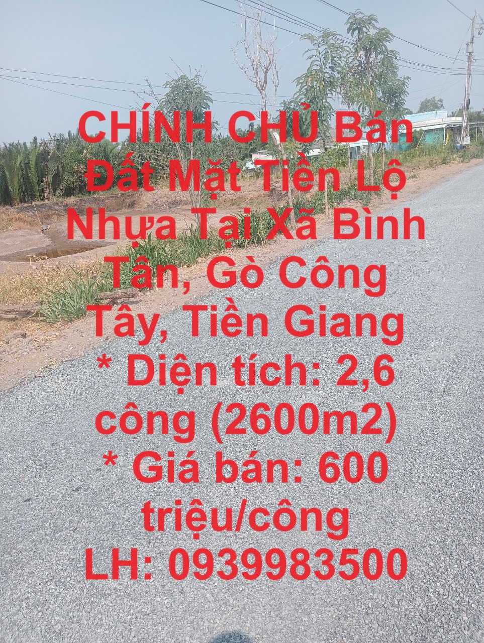 CHÍNH CHỦ Bán Đất Mặt Tiền Lộ Nhựa Tại Xã Bình Tân, Gò Công Tây, Tiền Giang