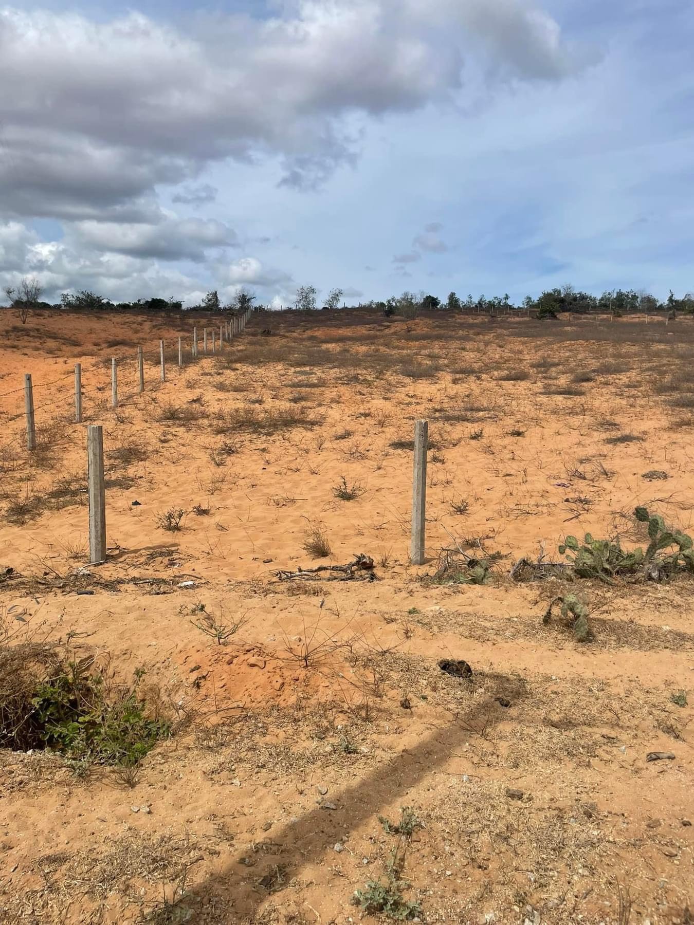 * CHÍNH CHỦ CẦN BÁN LÔ ĐẤT MẶT TIỀN ĐƯỜNG ĐÔI QUỐC PHÒNG MŨI DINH - NINH THUẬN