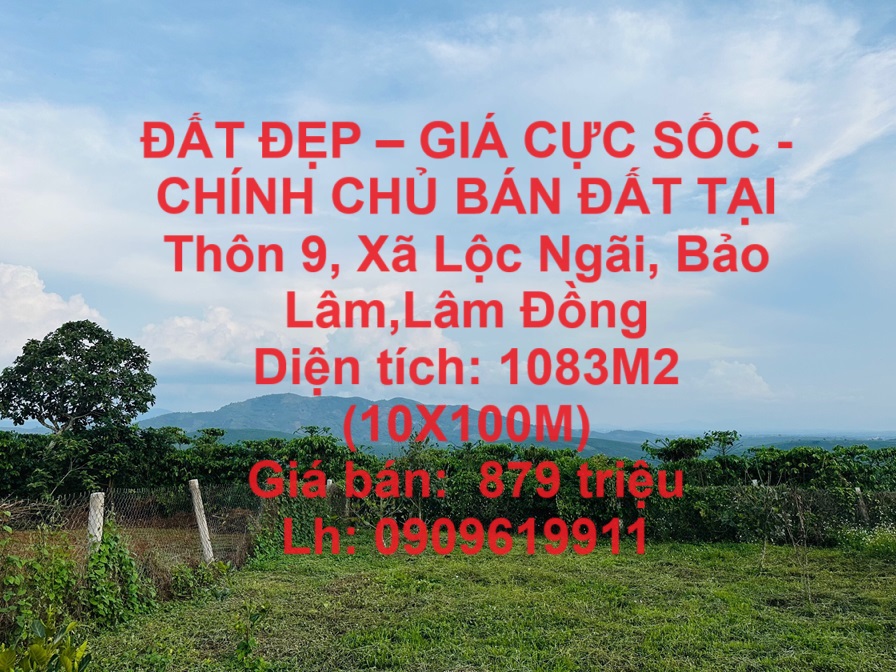 ĐẤT ĐẸP – GIÁ CỰC SỐC - CHÍNH CHỦ BÁN ĐẤT TẠI Thôn 9, Xã Lộc Ngãi, Bảo Lâm,Lâm Đồng