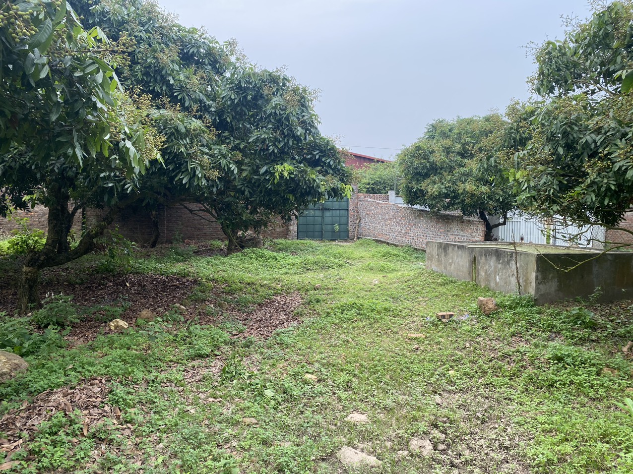 Chính Chủ Bán 1639M2 Đất Gần Khu du lịch Sinh Thái Hồ Đồng Đò, Hướng ĐN View Hồ Nhỏ, Mặt Tiền 25M Đường Ô tô.