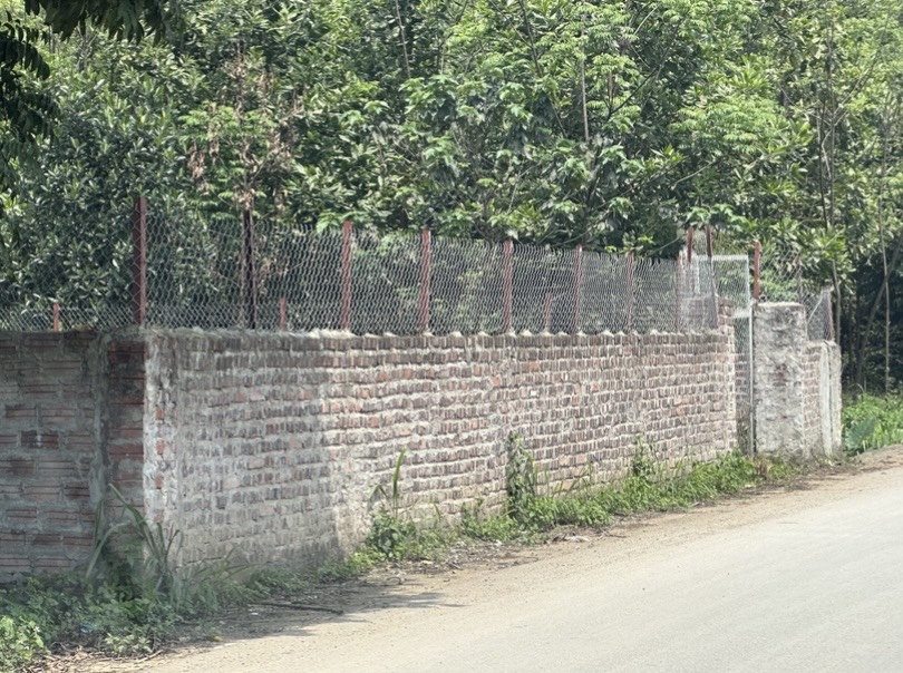 BÁN ĐẤT ĐƯỜNG ĐT 87, XÃ VÂN HÒA, HUYỆN BA VÌ, HÀ NỘI