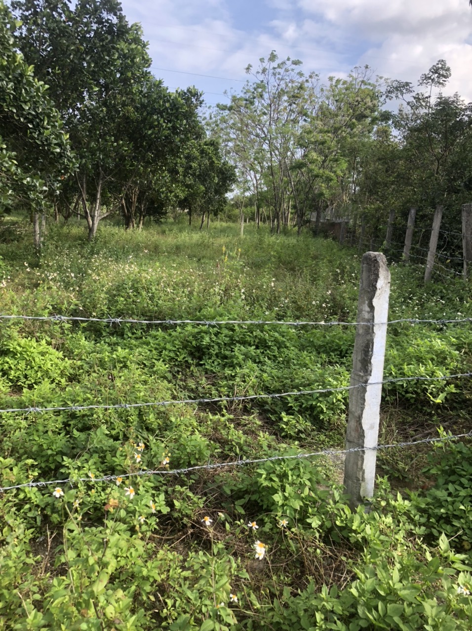 Đất Đẹp - Giá Tốt - Chính Chủ Cần Bán Lô Đất Tại Đường 605, Xã Điện Tiến, Điện Bàn, Quảng Nam