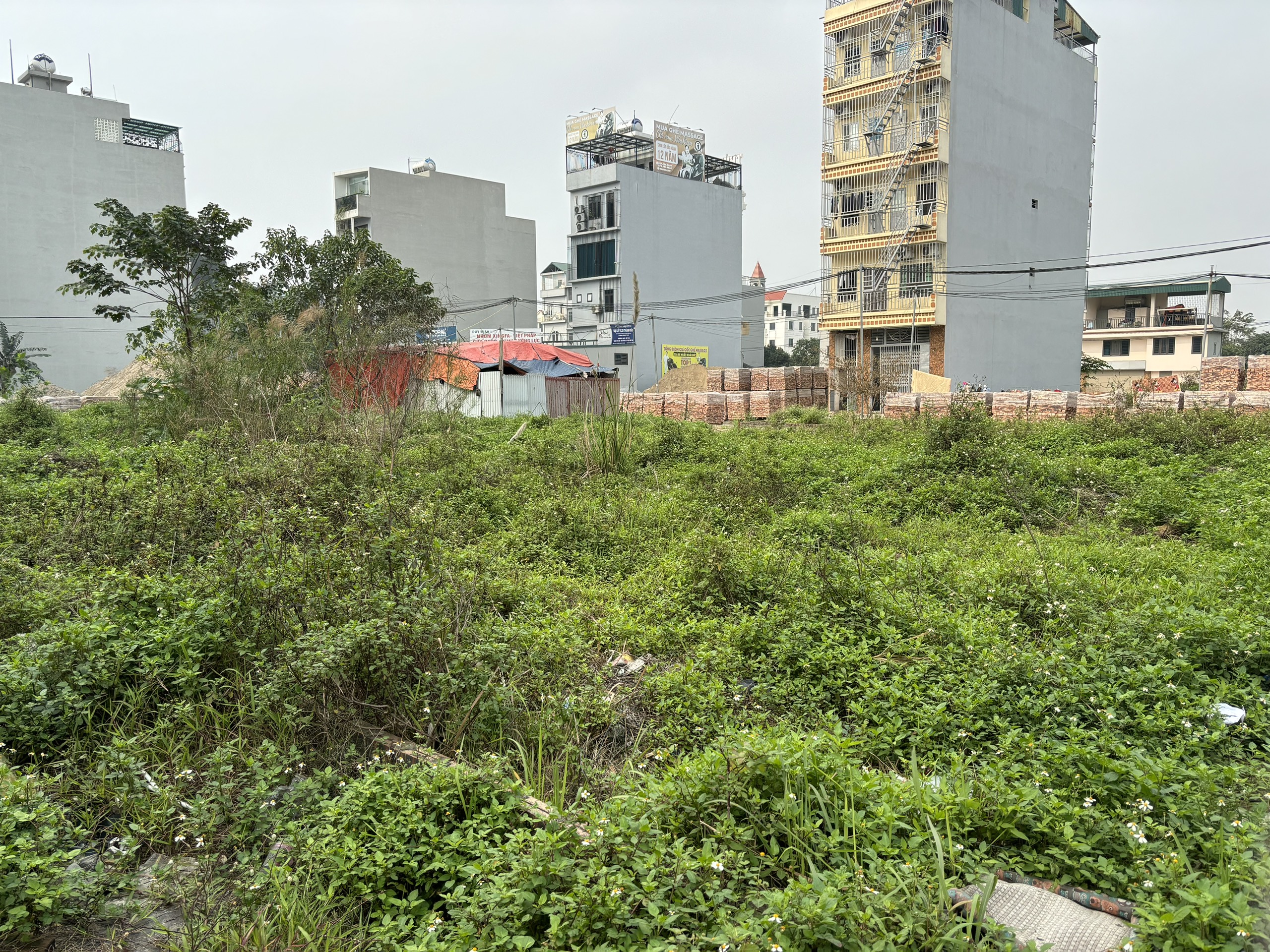 CHO THUÊ ĐẤT TẠI LAI XÁ, XÃ KIM CHUNG, HUYỆN HOÀI ĐỨC, HÀ NỘI