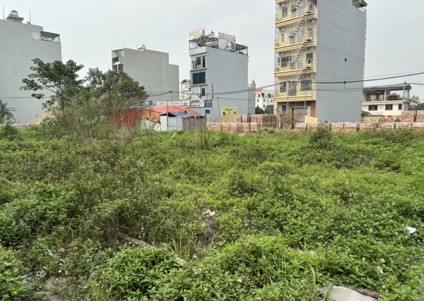 CHO THUÊ ĐẤT TẠI LAI XÁ, XÃ KIM CHUNG, HUYỆN HOÀI ĐỨC, HÀ NỘI