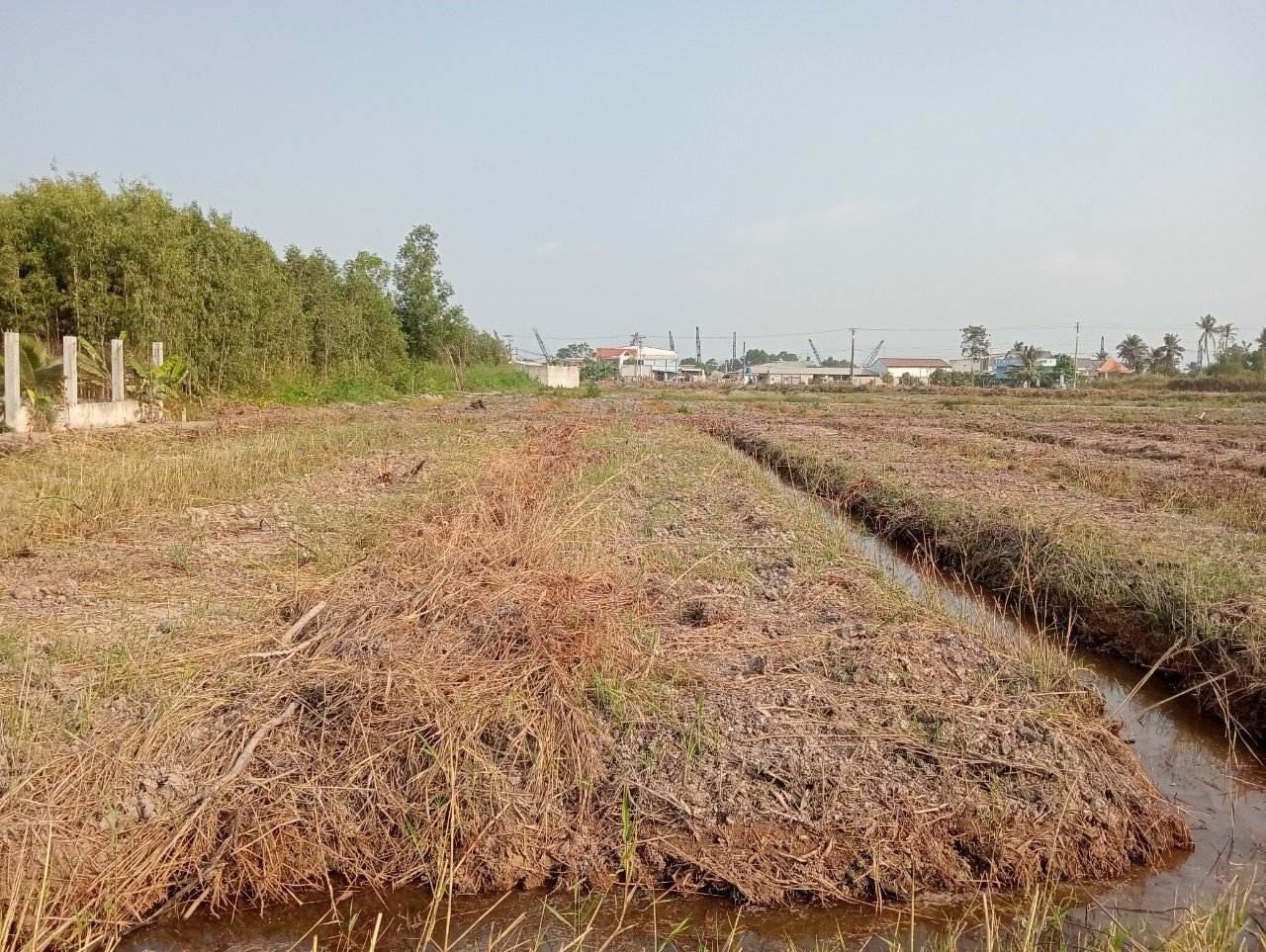 %%CHÍNH CHỦ CẦN BÁN LÔ ĐẤT VƯỜN Ở ĐƯỜNG NHỰA N2 – XÃ THANH LỢI – H. BẾN LỨC – LONG AN.