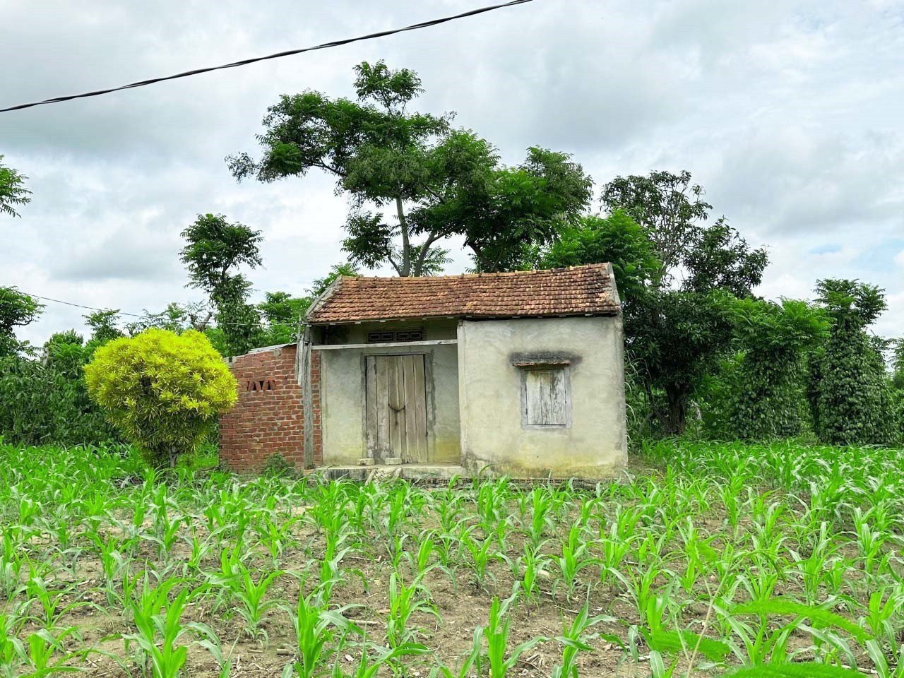 ##CẦN BÁN LÔ ĐẤT MẶT TIỀN TẠI HUYỆN EA KAR- ĐĂK LĂK