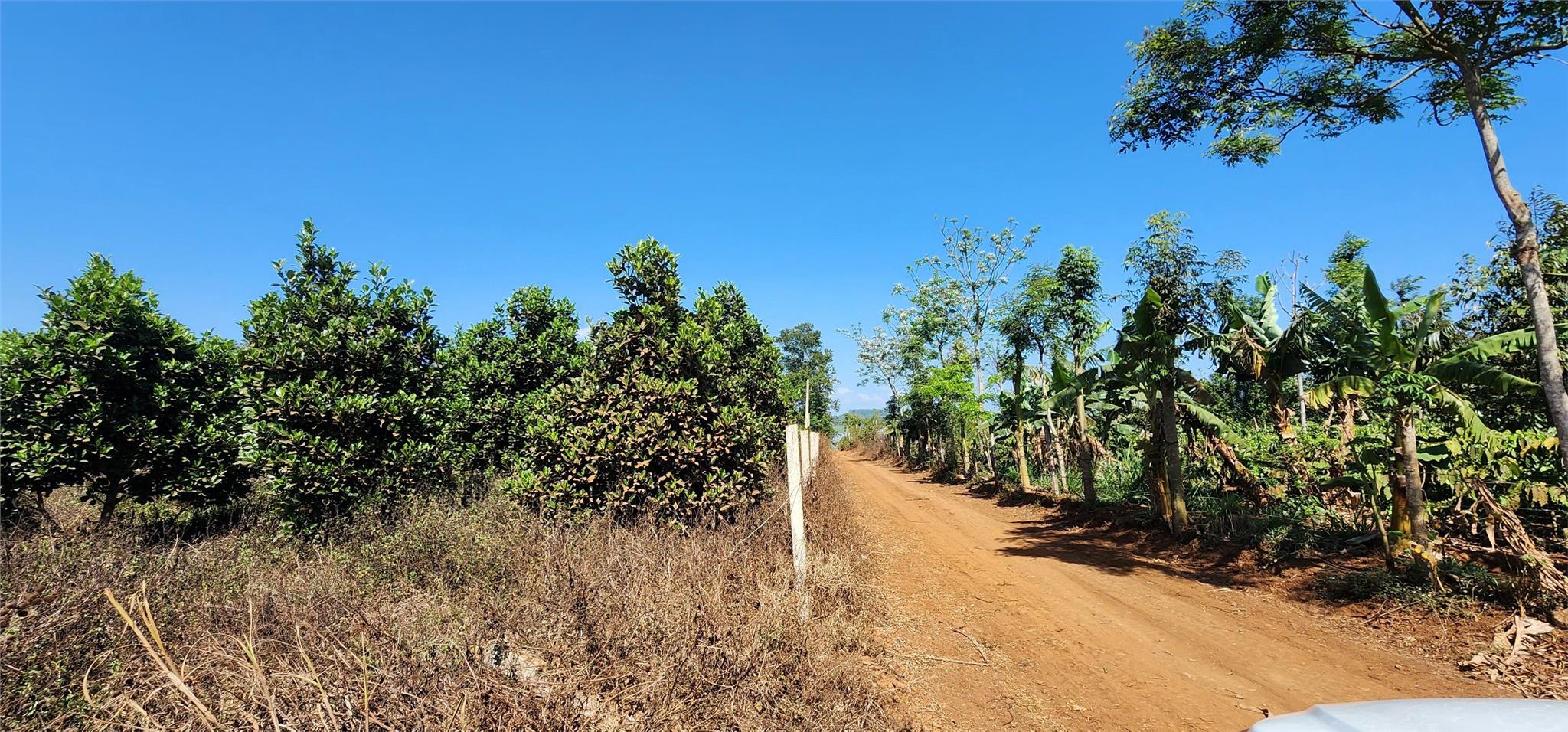 Sở Hữu Ngay 2 lô đất sát Hồ Ea Nhái, gần ngay mặt tiền đường lớn