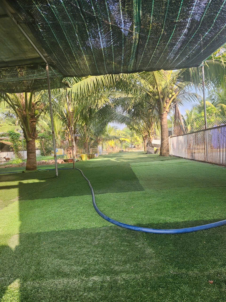 **SANG NHƯỢNG TRANG TRẠI CHĂN NUÔI CHÓ - ĐƯỜNG BÀU LÁCH - HUYỆN CỦ CHI - TP.HCM**